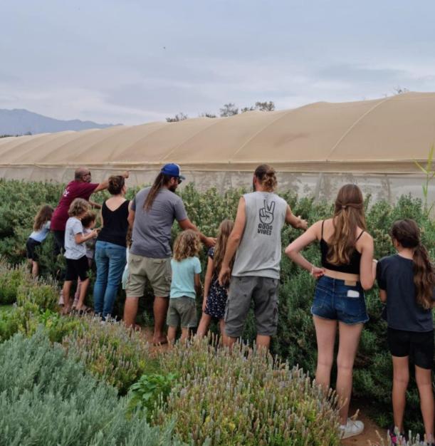 Elifaz Desert Experience Holiday Ngoại thất bức ảnh