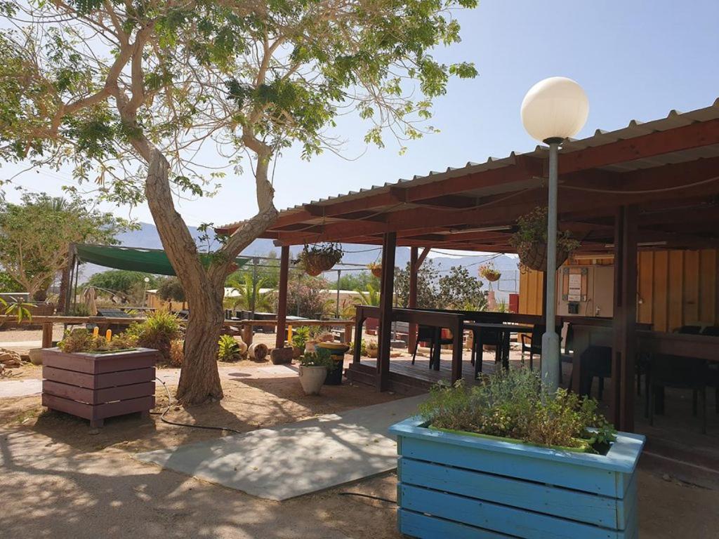 Elifaz Desert Experience Holiday Ngoại thất bức ảnh