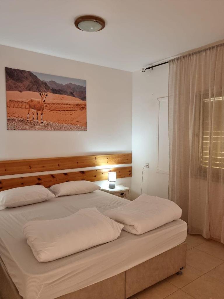 Elifaz Desert Experience Holiday Ngoại thất bức ảnh