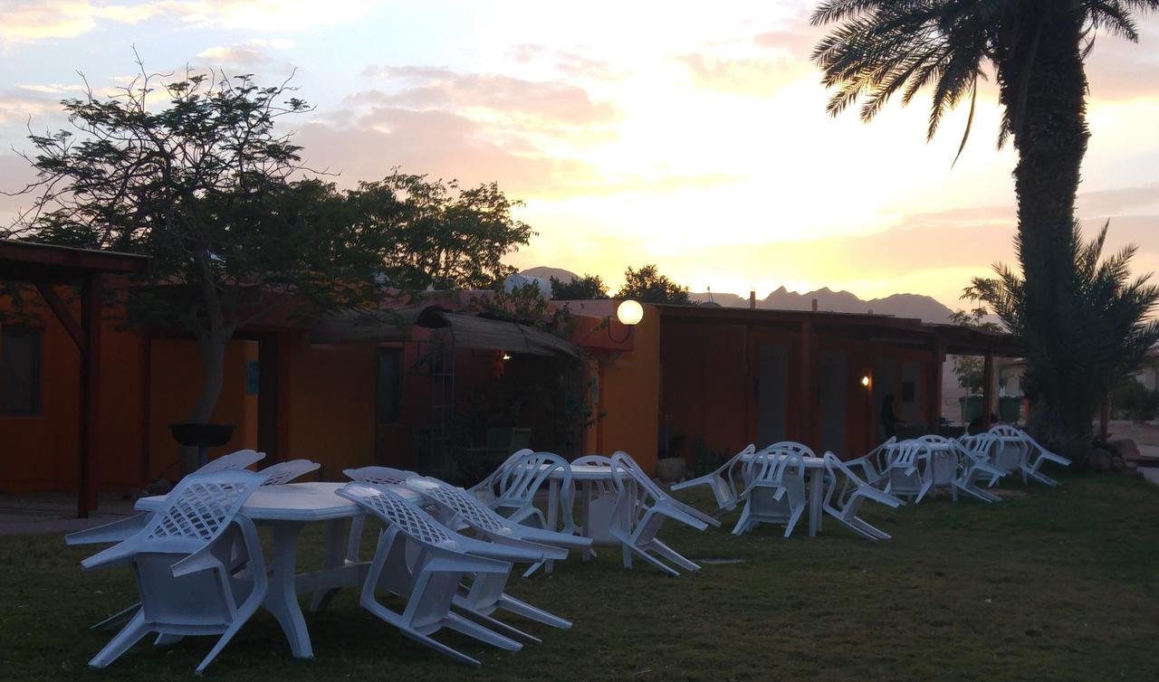 Elifaz Desert Experience Holiday Ngoại thất bức ảnh